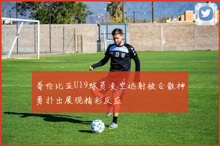 哥伦比亚U19球员凌空远射被合散神勇扑出展现精彩反应